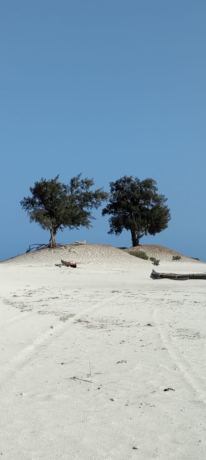 LE GRAND SUD, DE TULEAR A FORT DAUPHIN