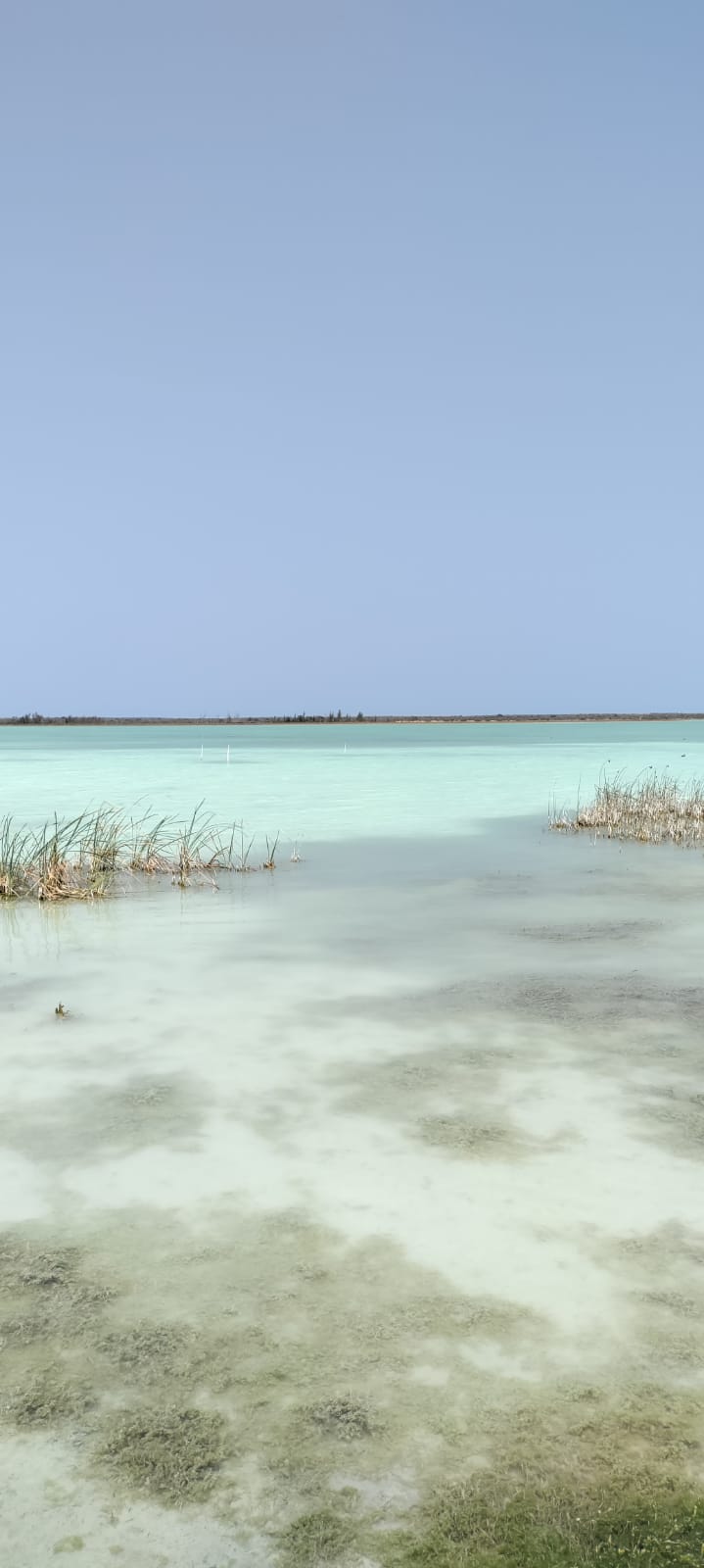 LE GRAND SUD, DE TULEAR A FORT DAUPHIN