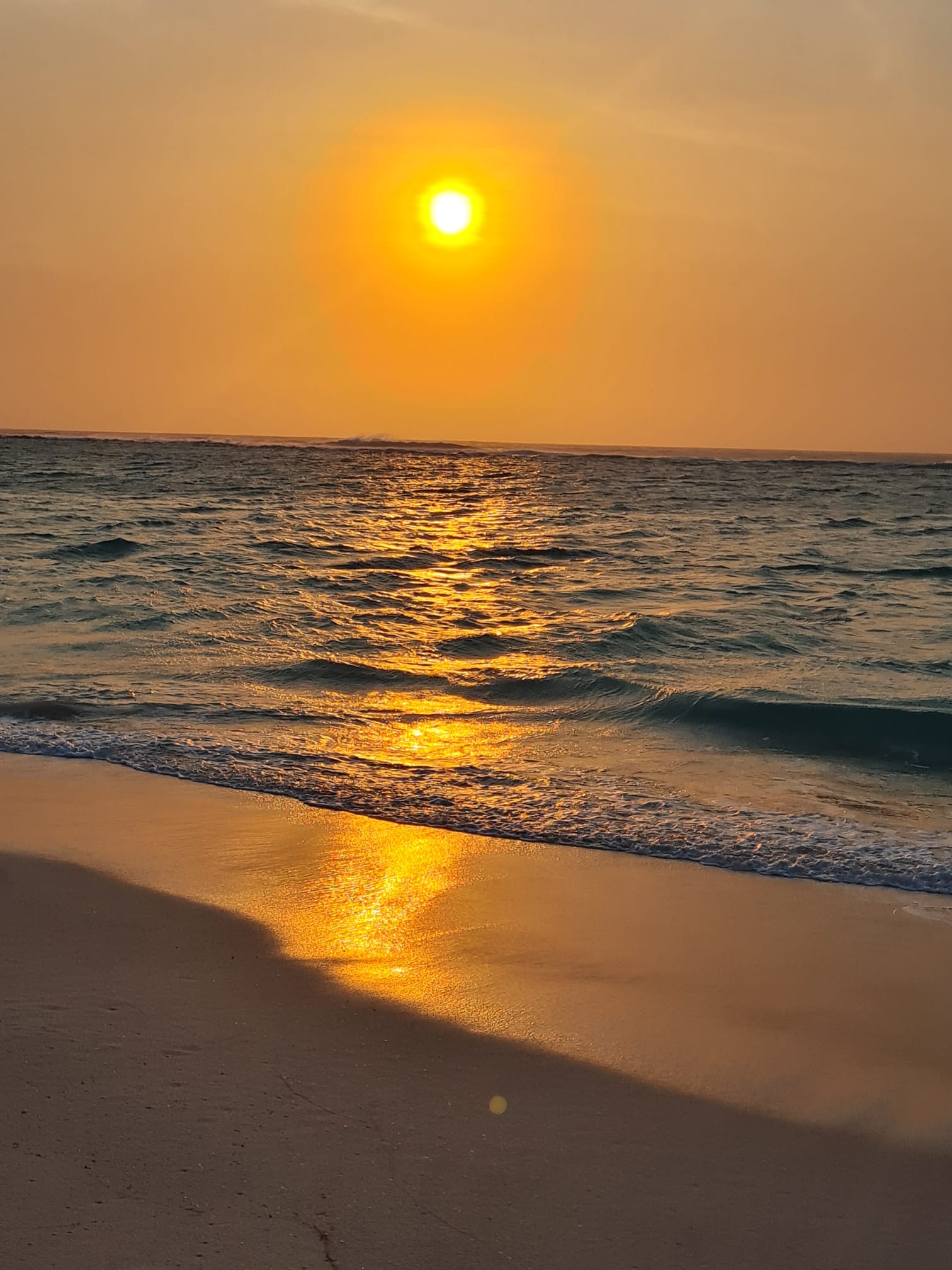 LE GRAND SUD, DE TULEAR A FORT DAUPHIN