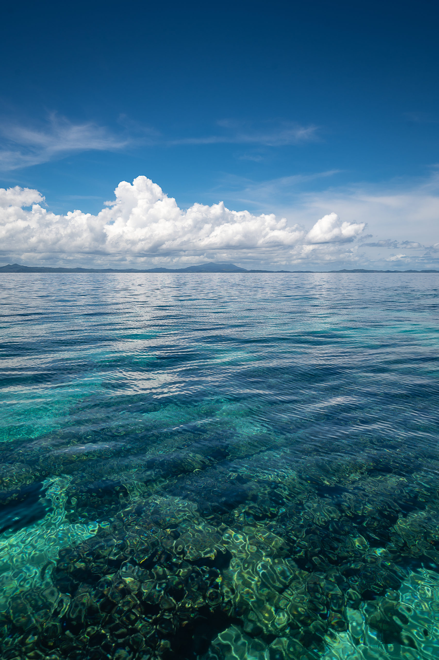 DÉCOUVERTE DU NORD, ENTRE TERRE ET MER