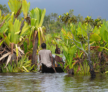 VOYAGE DANS L’EST: LES FORÊTS D’ANDASIBE, LE CANAL DES PANGALANES ET L’ÎLE SAINTE MARIE