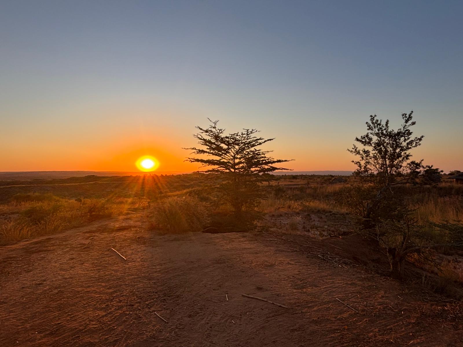 LA COTE DES BAOBABS, DE MORONDAVA A TULEAR